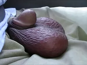 Anal sur le extrait  ...